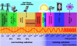 Effetti delle radiazioni sui tessuti biologici